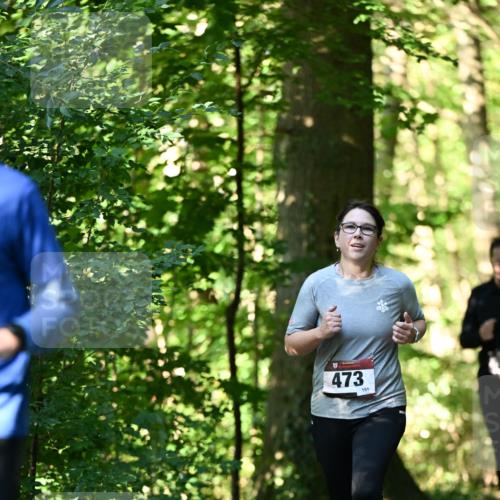 06.10.2024 - Bramfelder Halbmarathon 2024 Dr. Thomas Lammeyer http://msf.ph/oto/7338881 06.10.2024 10:29:16 Laufen 473, 151 meine-sportfotos.de