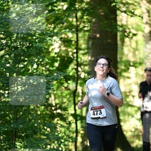 06.10.2024 - Bramfelder Halbmarathon 2024 Dr. Thomas Lammeyer http://msf.ph/oto/7338884 06.10.2024 10:29:16 Laufen 473, 151 meine-sportfotos.de