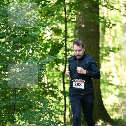06.10.2024 - Bramfelder Halbmarathon 2024 Dr. Thomas Lammeyer http://msf.ph/oto/7338893 06.10.2024 10:29:18 Laufen 171, 283 meine-sportfotos.de