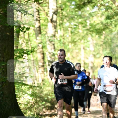 06.10.2024 - Bramfelder Halbmarathon 2024 Dr. Thomas Lammeyer http://msf.ph/oto/7338906 06.10.2024 10:29:22 Laufen 234, 116, 235 meine-sportfotos.de