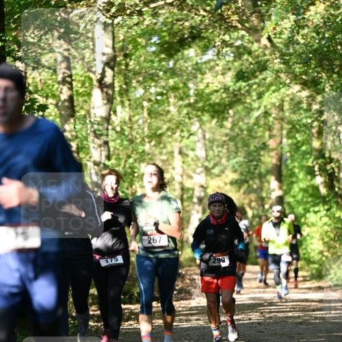 06.10.2024 - Bramfelder Halbmarathon 2024 Dr. Thomas Lammeyer http://msf.ph/oto/7338941 06.10.2024 10:29:28 Laufen 175, 267, 299 meine-sportfotos.de