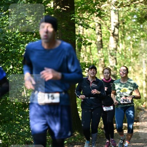 06.10.2024 - Bramfelder Halbmarathon 2024 Dr. Thomas Lammeyer http://msf.ph/oto/7338943 06.10.2024 10:29:29 Laufen 115, 175, 2012, 26 meine-sportfotos.de