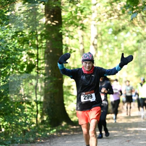 06.10.2024 - Bramfelder Halbmarathon 2024 Dr. Thomas Lammeyer http://msf.ph/oto/7338957 06.10.2024 10:29:33 Laufen 299, 133 meine-sportfotos.de
