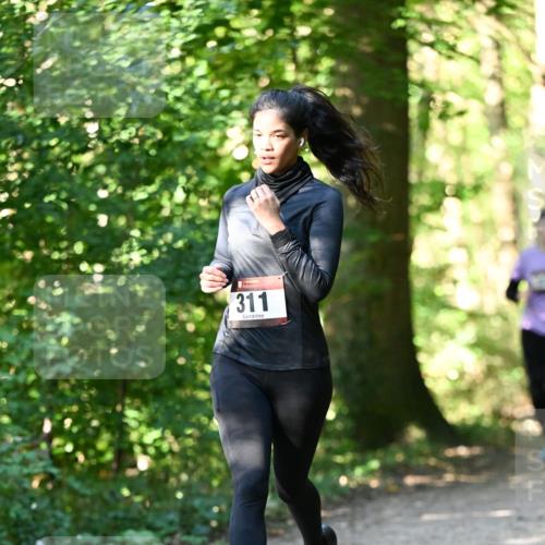 06.10.2024 - Bramfelder Halbmarathon 2024 Dr. Thomas Lammeyer http://msf.ph/oto/7338971 06.10.2024 10:29:35 Laufen 311 meine-sportfotos.de