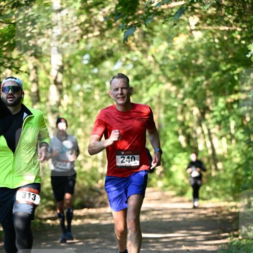 06.10.2024 - Bramfelder Halbmarathon 2024 Dr. Thomas Lammeyer http://msf.ph/oto/7338989 06.10.2024 10:29:41 Laufen 313, 430, 240, 106 meine-sportfotos.de