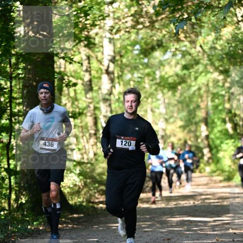 06.10.2024 - Bramfelder Halbmarathon 2024 Dr. Thomas Lammeyer http://msf.ph/oto/7339002 06.10.2024 10:29:43 Laufen 436, 120, 119, 5 meine-sportfotos.de