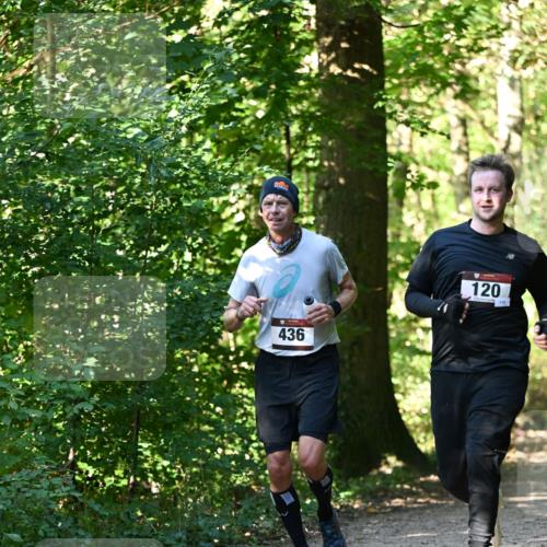 06.10.2024 - Bramfelder Halbmarathon 2024 Dr. Thomas Lammeyer http://msf.ph/oto/7339004 06.10.2024 10:29:44 Laufen 436, 120, 11 meine-sportfotos.de