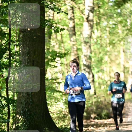 06.10.2024 - Bramfelder Halbmarathon 2024 Dr. Thomas Lammeyer http://msf.ph/oto/7339011 06.10.2024 10:29:48 Laufen  meine-sportfotos.de