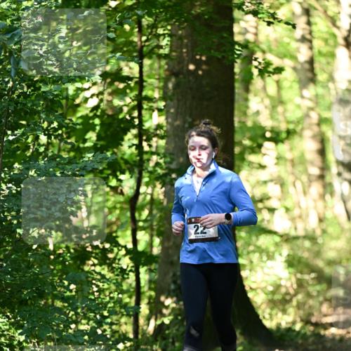 06.10.2024 - Bramfelder Halbmarathon 2024 Dr. Thomas Lammeyer http://msf.ph/oto/7339022 06.10.2024 10:29:50 Laufen 22 meine-sportfotos.de