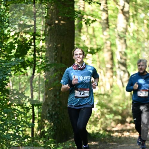 06.10.2024 - Bramfelder Halbmarathon 2024 Dr. Thomas Lammeyer http://msf.ph/oto/7339042 06.10.2024 10:29:53 Laufen 73, 268 meine-sportfotos.de