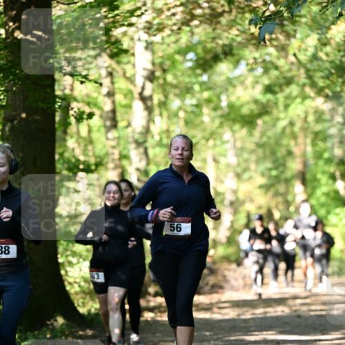 06.10.2024 - Bramfelder Halbmarathon 2024 Dr. Thomas Lammeyer http://msf.ph/oto/7339060 06.10.2024 10:29:59 Laufen 88, 183, 56 meine-sportfotos.de