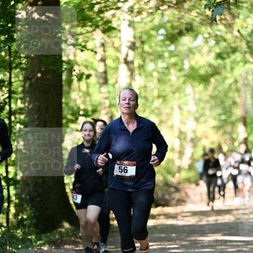06.10.2024 - Bramfelder Halbmarathon 2024 Dr. Thomas Lammeyer http://msf.ph/oto/7339064 06.10.2024 10:29:59 Laufen 56 meine-sportfotos.de