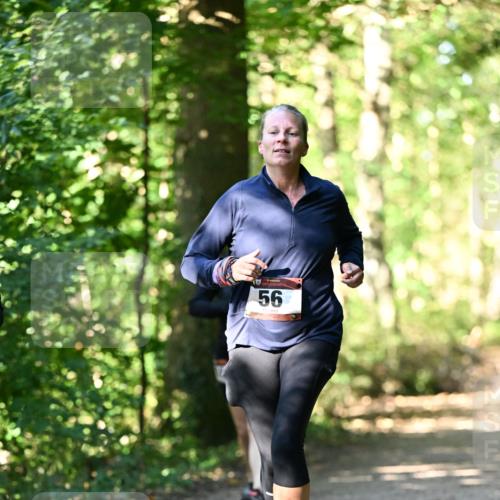 06.10.2024 - Bramfelder Halbmarathon 2024 Dr. Thomas Lammeyer http://msf.ph/oto/7339070 06.10.2024 10:30:00 Laufen 56 meine-sportfotos.de