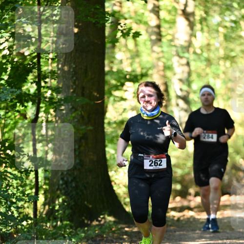 06.10.2024 - Bramfelder Halbmarathon 2024 Dr. Thomas Lammeyer http://msf.ph/oto/7339111 06.10.2024 10:30:25 Laufen 262, 284 meine-sportfotos.de