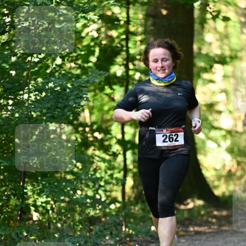 06.10.2024 - Bramfelder Halbmarathon 2024 Dr. Thomas Lammeyer http://msf.ph/oto/7339120 06.10.2024 10:30:27 Laufen 262 meine-sportfotos.de