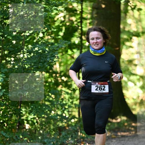 06.10.2024 - Bramfelder Halbmarathon 2024 Dr. Thomas Lammeyer http://msf.ph/oto/7339121 06.10.2024 10:30:27 Laufen 262 meine-sportfotos.de
