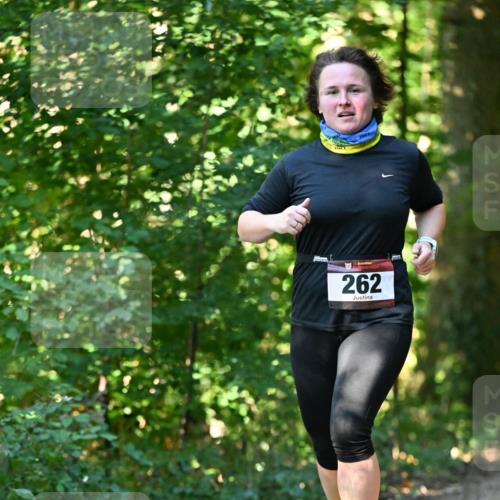 06.10.2024 - Bramfelder Halbmarathon 2024 Dr. Thomas Lammeyer http://msf.ph/oto/7339125 06.10.2024 10:30:27 Laufen 262 meine-sportfotos.de