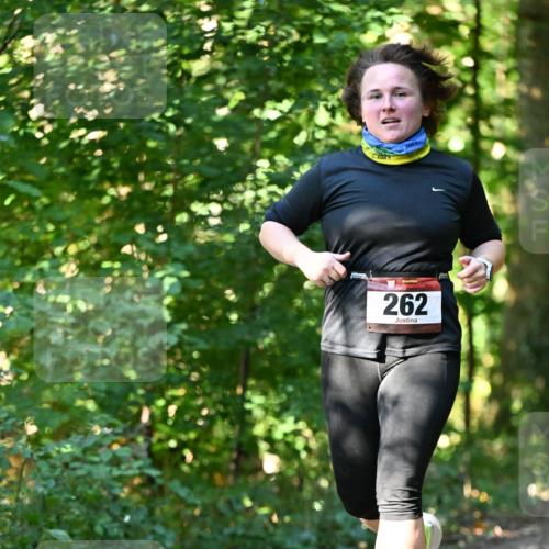 06.10.2024 - Bramfelder Halbmarathon 2024 Dr. Thomas Lammeyer http://msf.ph/oto/7339126 06.10.2024 10:30:27 Laufen 262 meine-sportfotos.de