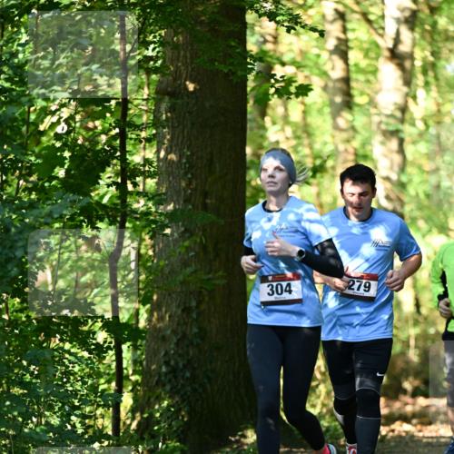 06.10.2024 - Bramfelder Halbmarathon 2024 Dr. Thomas Lammeyer http://msf.ph/oto/7339141 06.10.2024 10:30:34 Laufen 304, 279 meine-sportfotos.de