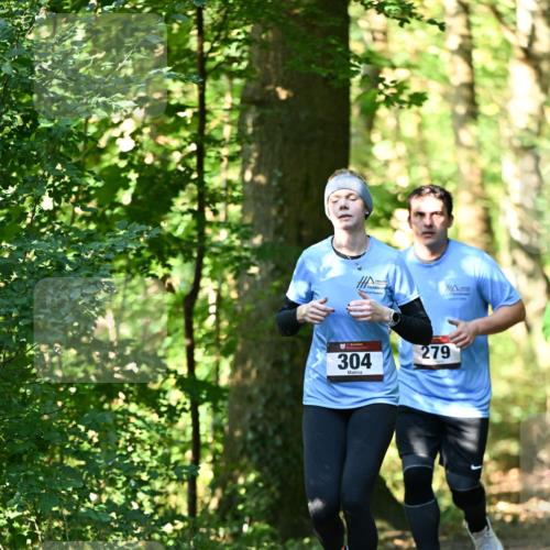 06.10.2024 - Bramfelder Halbmarathon 2024 Dr. Thomas Lammeyer http://msf.ph/oto/7339143 06.10.2024 10:30:34 Laufen 304, 279 meine-sportfotos.de