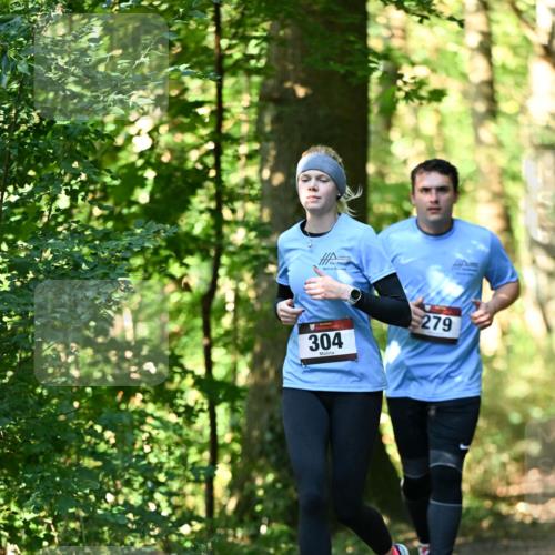 06.10.2024 - Bramfelder Halbmarathon 2024 Dr. Thomas Lammeyer http://msf.ph/oto/7339145 06.10.2024 10:30:35 Laufen 304, 279 meine-sportfotos.de