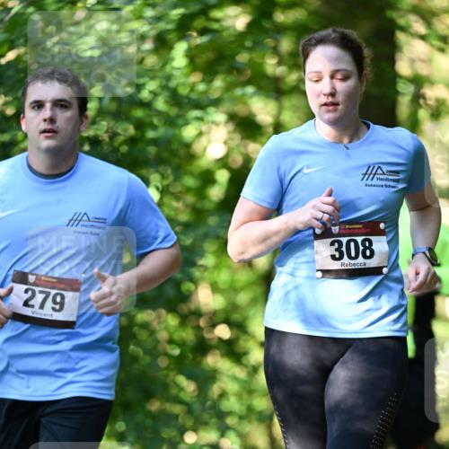 06.10.2024 - Bramfelder Halbmarathon 2024 Dr. Thomas Lammeyer http://msf.ph/oto/7339158 06.10.2024 10:30:37 Laufen 279, 33, 308 meine-sportfotos.de