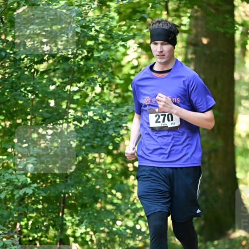 06.10.2024 - Bramfelder Halbmarathon 2024 Dr. Thomas Lammeyer http://msf.ph/oto/7339204 06.10.2024 10:30:57 Laufen 270, 153 meine-sportfotos.de