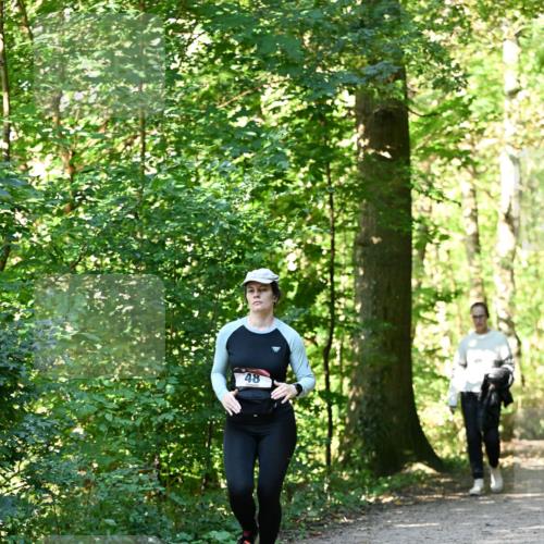 06.10.2024 - Bramfelder Halbmarathon 2024 Dr. Thomas Lammeyer http://msf.ph/oto/7339257 06.10.2024 10:31:30 Laufen 48 meine-sportfotos.de