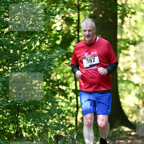 06.10.2024 - Bramfelder Halbmarathon 2024 Dr. Thomas Lammeyer http://msf.ph/oto/7339369 06.10.2024 10:32:38 Laufen 167, 397 meine-sportfotos.de