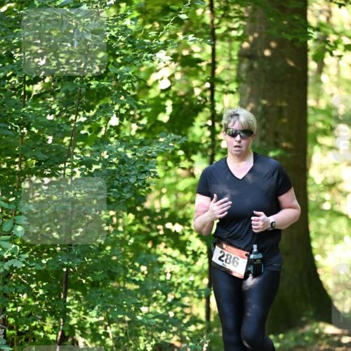 06.10.2024 - Bramfelder Halbmarathon 2024 Dr. Thomas Lammeyer http://msf.ph/oto/7339384 06.10.2024 10:32:42 Laufen 286 meine-sportfotos.de