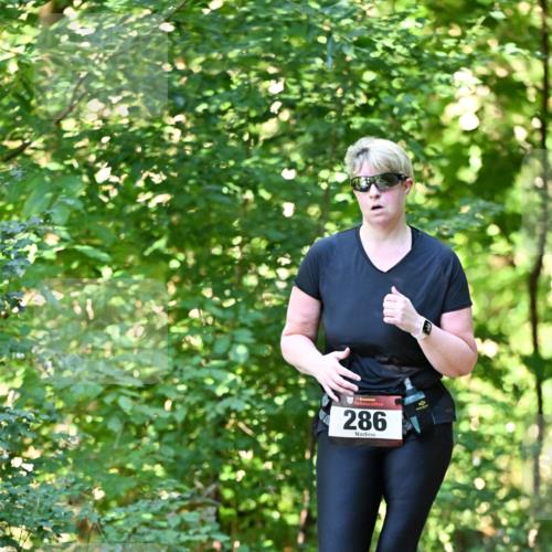 06.10.2024 - Bramfelder Halbmarathon 2024 Dr. Thomas Lammeyer http://msf.ph/oto/7339392 06.10.2024 10:32:43 Laufen 286 meine-sportfotos.de