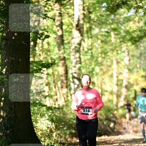 06.10.2024 - Bramfelder Halbmarathon 2024 Dr. Thomas Lammeyer http://msf.ph/oto/7339449 06.10.2024 10:33:06 Laufen 516 meine-sportfotos.de