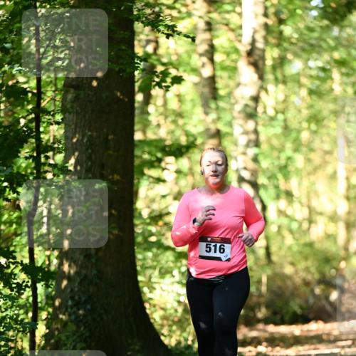 06.10.2024 - Bramfelder Halbmarathon 2024 Dr. Thomas Lammeyer http://msf.ph/oto/7339461 06.10.2024 10:33:08 Laufen 516 meine-sportfotos.de