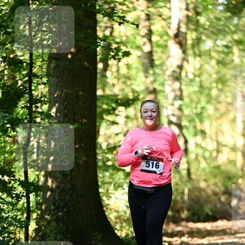 06.10.2024 - Bramfelder Halbmarathon 2024 Dr. Thomas Lammeyer http://msf.ph/oto/7339462 06.10.2024 10:33:08 Laufen 516 meine-sportfotos.de