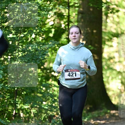 06.10.2024 - Bramfelder Halbmarathon 2024 Dr. Thomas Lammeyer http://msf.ph/oto/7339543 06.10.2024 10:34:29 Laufen 421 meine-sportfotos.de