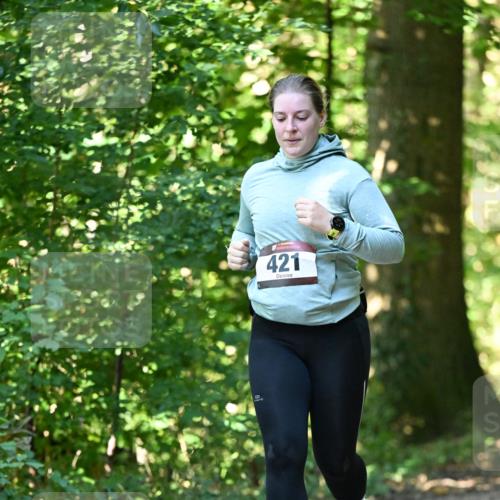 06.10.2024 - Bramfelder Halbmarathon 2024 Dr. Thomas Lammeyer http://msf.ph/oto/7339545 06.10.2024 10:34:29 Laufen 421 meine-sportfotos.de