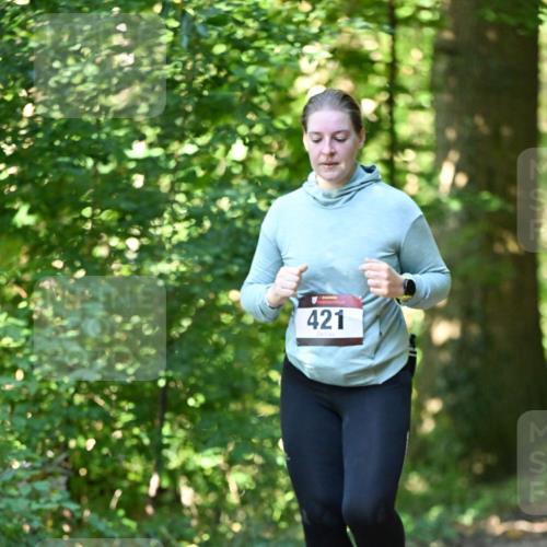 06.10.2024 - Bramfelder Halbmarathon 2024 Dr. Thomas Lammeyer http://msf.ph/oto/7339546 06.10.2024 10:34:29 Laufen 421 meine-sportfotos.de