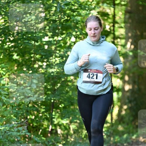 06.10.2024 - Bramfelder Halbmarathon 2024 Dr. Thomas Lammeyer http://msf.ph/oto/7339547 06.10.2024 10:34:29 Laufen 421 meine-sportfotos.de