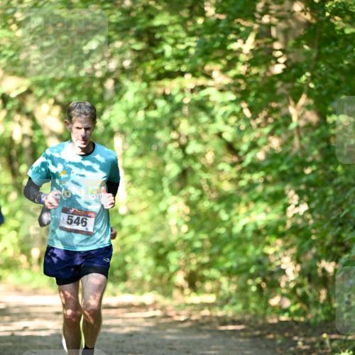 06.10.2024 - Bramfelder Halbmarathon 2024 Dr. Thomas Lammeyer http://msf.ph/oto/7339650 06.10.2024 10:36:16 Laufen 546 meine-sportfotos.de