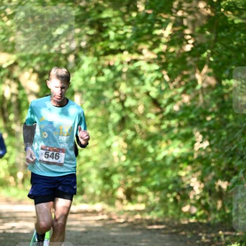 06.10.2024 - Bramfelder Halbmarathon 2024 Dr. Thomas Lammeyer http://msf.ph/oto/7339652 06.10.2024 10:36:16 Laufen 19, 546 meine-sportfotos.de