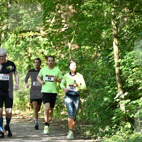 06.10.2024 - Bramfelder Halbmarathon 2024 Dr. Thomas Lammeyer http://msf.ph/oto/7339715 06.10.2024 10:36:46 Laufen 45, 88, 563 meine-sportfotos.de