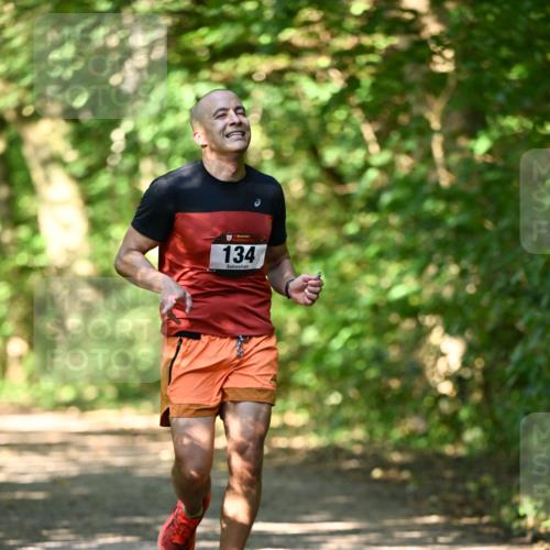 06.10.2024 - Bramfelder Halbmarathon 2024 Dr. Thomas Lammeyer http://msf.ph/oto/7339906 06.10.2024 10:40:10 Laufen 134 meine-sportfotos.de