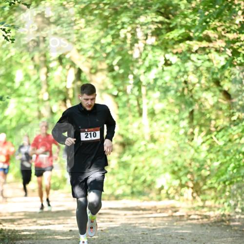 06.10.2024 - Bramfelder Halbmarathon 2024 Dr. Thomas Lammeyer http://msf.ph/oto/7340150 06.10.2024 10:41:58 Laufen 210 meine-sportfotos.de
