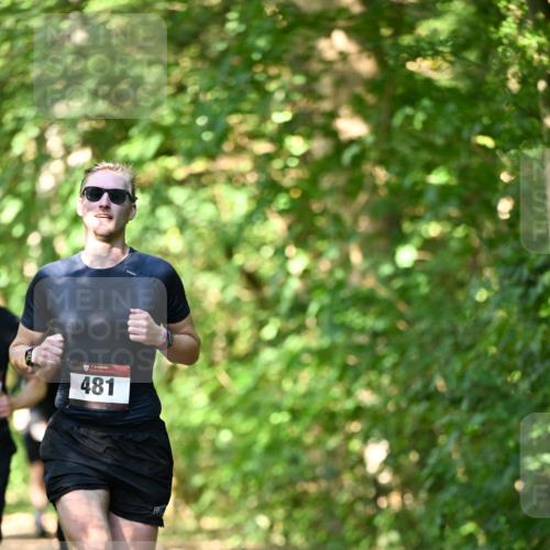 06.10.2024 - Bramfelder Halbmarathon 2024 Dr. Thomas Lammeyer http://msf.ph/oto/7340235 06.10.2024 10:42:17 Laufen 481 meine-sportfotos.de