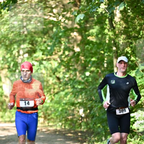 06.10.2024 - Bramfelder Halbmarathon 2024 Dr. Thomas Lammeyer http://msf.ph/oto/7340272 06.10.2024 10:42:26 Laufen 14, 17, 389 meine-sportfotos.de