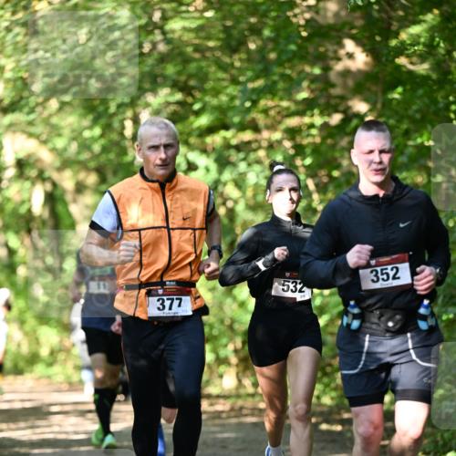 06.10.2024 - Bramfelder Halbmarathon 2024 Dr. Thomas Lammeyer http://msf.ph/oto/7340405 06.10.2024 10:43:45 Laufen 377, 113, 532, 210, 352 meine-sportfotos.de
