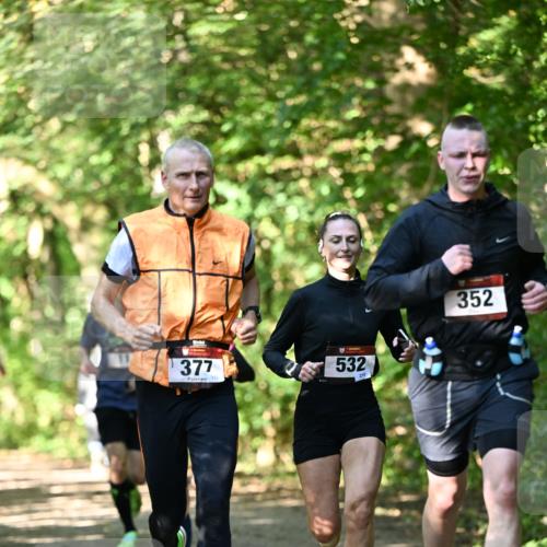 06.10.2024 - Bramfelder Halbmarathon 2024 Dr. Thomas Lammeyer http://msf.ph/oto/7340406 06.10.2024 10:43:45 Laufen 377, 13, 532, 210, 352 meine-sportfotos.de