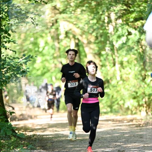 06.10.2024 - Bramfelder Halbmarathon 2024 Dr. Thomas Lammeyer http://msf.ph/oto/7340531 06.10.2024 10:44:18 Laufen 323, 517 meine-sportfotos.de