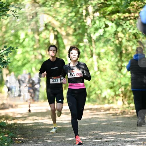 06.10.2024 - Bramfelder Halbmarathon 2024 Dr. Thomas Lammeyer http://msf.ph/oto/7340533 06.10.2024 10:44:18 Laufen 323, 51 meine-sportfotos.de
