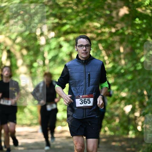 06.10.2024 - Bramfelder Halbmarathon 2024 Dr. Thomas Lammeyer http://msf.ph/oto/7340724 06.10.2024 10:46:02 Laufen 31, 365 meine-sportfotos.de